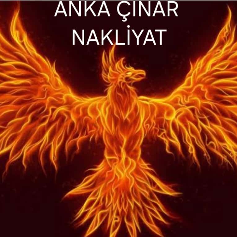 Çınar Anka Nakliyat