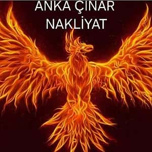 Çınar Anka Nakliyat
