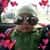Mahir