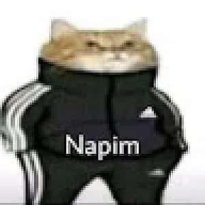 Yasin