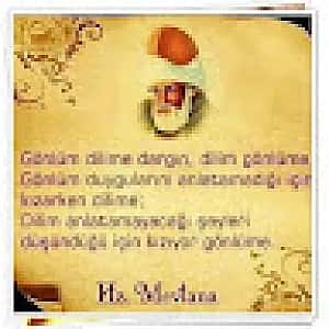 Bayram olgun